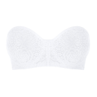 Halo Lace Strapless BH