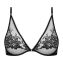 Lise Charmel Adorable And Sexy Triangle BH Noir