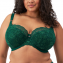 Elomi Lingerie Brianna Half Cup BH Rainforest