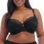 Elomi Brianna Half Cup BH Black