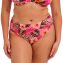 Elomi Swim Cabana Nights Bikinibroekje Multi