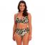 Fantasie Swim Cabo Verde Halter Bikinitop Cactus