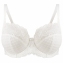 Panache Envy Full Cup BH Ivory