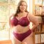 Sculptresse Natalia Full Cup BH Bordeaux Red