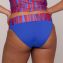 PrimaDonna Swim Skudai Hoog Bikinibroekje Wild Stripes