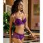 Lise Charmel Sublime En Dentelle Voorgevormde BH Sublime Iris