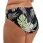 Elomi Swim Tropical Retreat Bikinibroekje Black